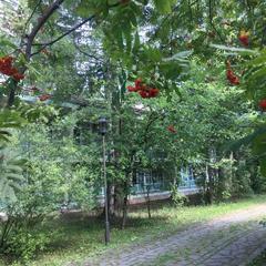 Хостел Дачная Резиденция, Звенигород, Московская область