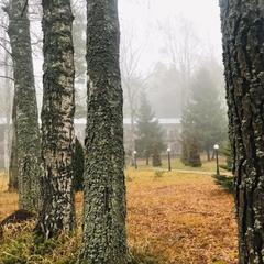 Дом отдыха Архитектор, Зеленогорск, Ленинградская область