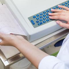 Курорт Первая Линия, Зеленогорск, Ленинградская область