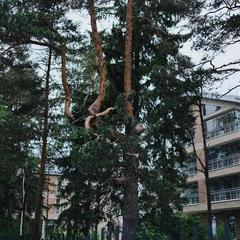 Курорт Первая Линия, Зеленогорск, Ленинградская область