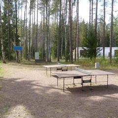 Дом отдыха Архитектор, Зеленогорск, Ленинградская область