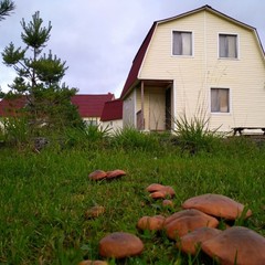 Коттеджный комплекс Fun Forest, Зеленоград, Московская область