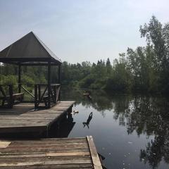 Загородный дом Дедёшено, Зеленоград, Московская область