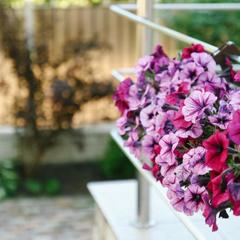 Отель Кристалл, Зеленоградск, Калининградская область