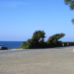 Отель Кристалл, Зеленоградск, Калининградская область