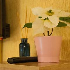 Гостевой дом Марусин луг 18, Зеленоград, Московская область