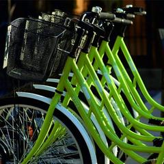 Спа-отель Зеленоградск, Зеленоградск, Калининградская область