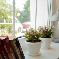 Хостел Арт, Зеленоградск, Калининградская область