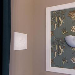 Апартаменты На Володарского, Зеленоградск, Калининградская область