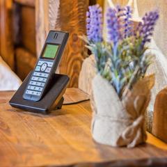 Отель Exclusive Wild, Зеленоградск, Калининградская область