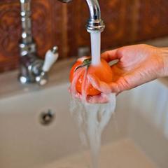 Апартаменты На Володарского, Зеленоградск, Калининградская область