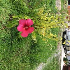 Гостевой дом СанМарин, Зубова Щель, Краснодарский край