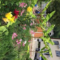 Гостевой дом СанМарин, Зубова Щель, Краснодарский край