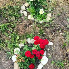 Гостевой дом СанМарин, Зубова Щель, Краснодарский край