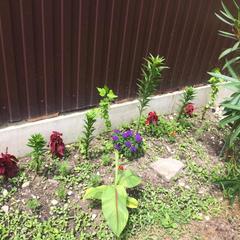 Гостевой дом СанМарин, Зубова Щель, Краснодарский край