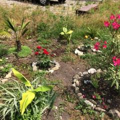 Гостевой дом СанМарин, Зубова Щель, Краснодарский край