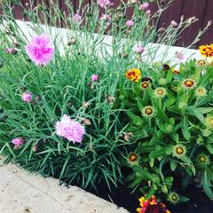 Гостевой дом СанМарин, Зубова Щель, Краснодарский край