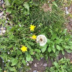 Гостевой дом СанМарин, Зубова Щель, Краснодарский край