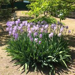 Гостевой дом СанМарин, Зубова Щель, Краснодарский край