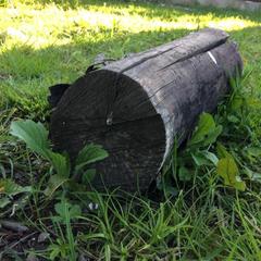 Гостевой дом СанМарин, Зубова Щель, Краснодарский край