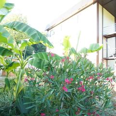 Гостевой дом СанМарин, Зубова Щель, Краснодарский край