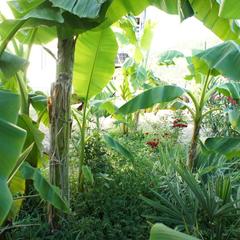 Гостевой дом СанМарин, Зубова Щель, Краснодарский край