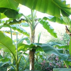 Гостевой дом СанМарин, Зубова Щель, Краснодарский край