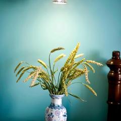 Апартаменты На Володарского, Зеленоградск, Калининградская область