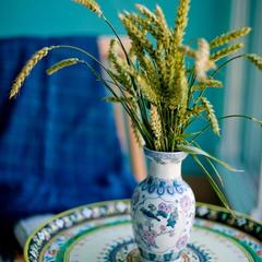 Апартаменты На Володарского, Зеленоградск, Калининградская область