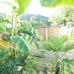 Гостевой дом СанМарин, Зубова Щель, Краснодарский край