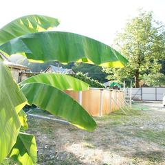 Гостевой дом СанМарин, Зубова Щель, Краснодарский край