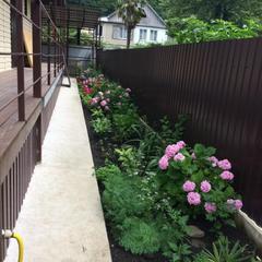 Гостевой дом СанМарин, Зубова Щель, Краснодарский край