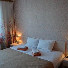 Отель Витязь, Ивангород, Ленинградская область