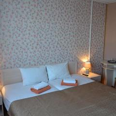 Отель Витязь, Ивангород, Ленинградская область