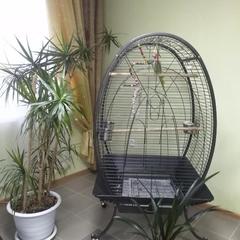 Отель Витязь, Ивангород, Ленинградская область