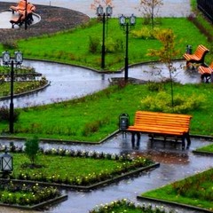 Гостиница Шереметев Парк Отель, Иваново, Нижегородская область