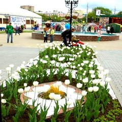 Гостиница Шереметев Парк Отель, Иваново, Нижегородская область