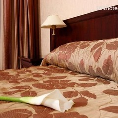 Гостиница Шереметев Парк Отель, Иваново, Нижегородская область