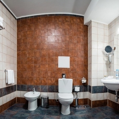 Гостиница Шереметев Парк Отель, Иваново, Нижегородская область