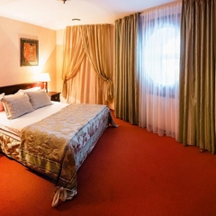 Гостиница Шереметев Парк Отель, Иваново, Нижегородская область