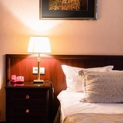 Гостиница Шереметев Парк Отель, Иваново, Нижегородская область