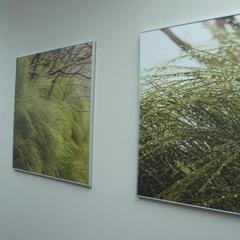 Отель Шеддок, Иваново, Нижегородская область