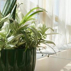 Отель Шеддок, Иваново, Нижегородская область