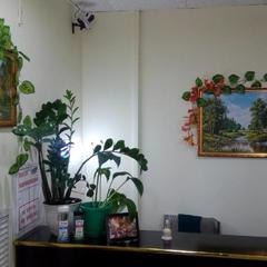 Гостиница Ивановская, Иваново, Нижегородская область