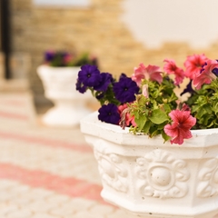 Мини-отель Гостевой Дом 33, Иваново, Нижегородская область