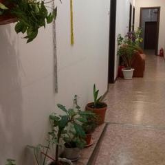 Отель Созвездие плюс, Иваново, Нижегородская область