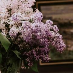 Гостиничный комплекс Арт-Отель, Иваново, Нижегородская область