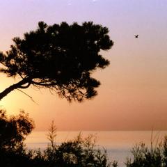 База отдыха Прибой-7, Избербаш, Республика Дагестан