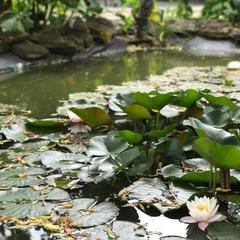 Гостевой дом Марина, Ильич, Краснодарский край