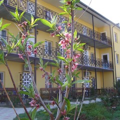 Гостиница Добрый Бобр, Ильич, Краснодарский край